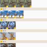 How to detect and delete duplicate files on Android